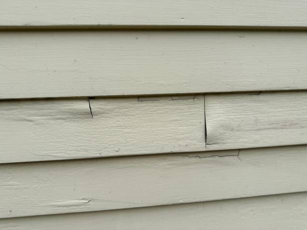 Best Stucco Siding  in Reform, AL